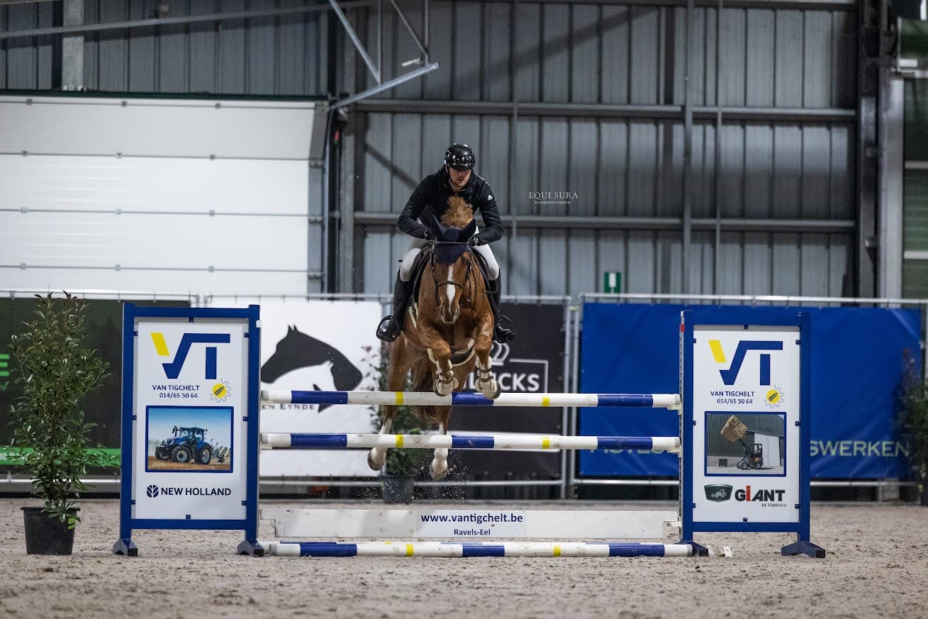 LRV W-R Indoor dressuur pony's